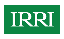 irri